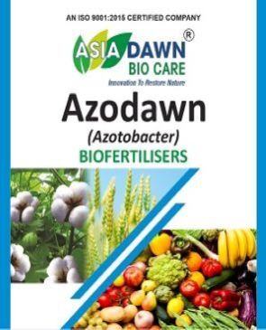 NITROGEN FIXATIVE BIO FERTILIZER AZOTOBACTER for Agricultural Use