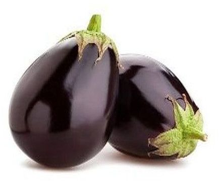 fresh brinjal