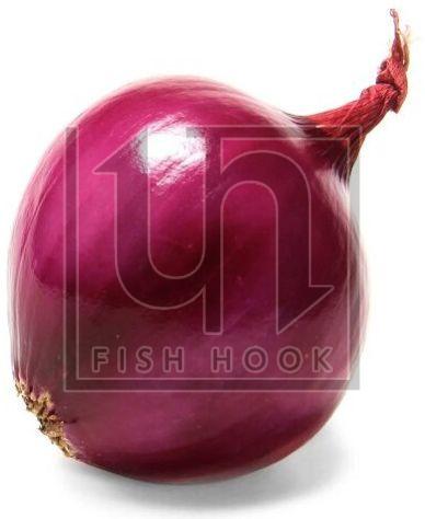 fresh red onion