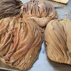 Halal Frozen Buffalo Shin Shank Meat