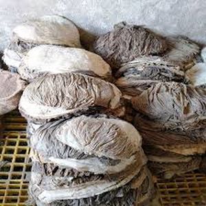 Halal Frozen Buffalo Offals Meat