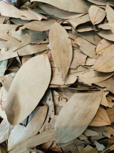 Unsorted Dried Bay Leaf