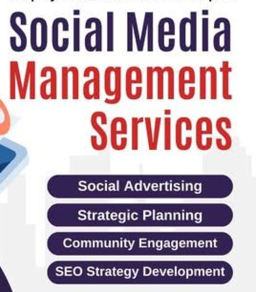Search Engine Optimization Service