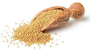 Common Yellow Mustard Seeds, Shape : Granule, Form : Whole