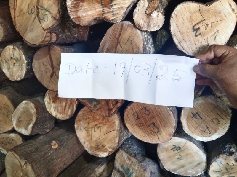 White-Red Sandalwood Logs