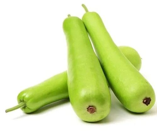 Bottle Gourd