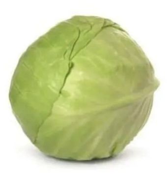 Cabbage