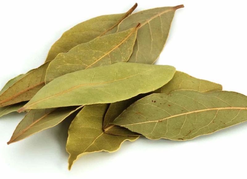 Dry Bay Leaves