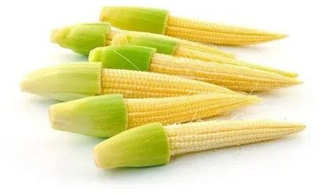 Frozen Baby Corn