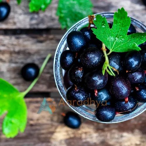 Frozen Black Currants for Smoothies, Desserts, Baking