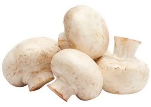 Frozen Mushroom Sliced