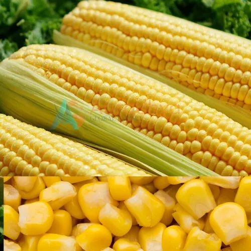 Frozen Sweet Corn