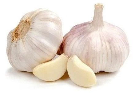 Garlic, Color : White for Cooking Ingredient