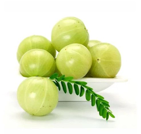Gooseberry (Amla)
