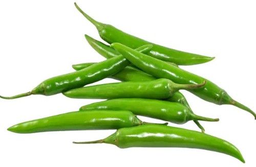 Green Chilli, Shape : Long Slender, Packaging Type : Loose/bulk