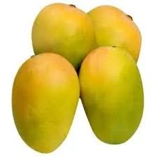 Indian Kesar Mango
