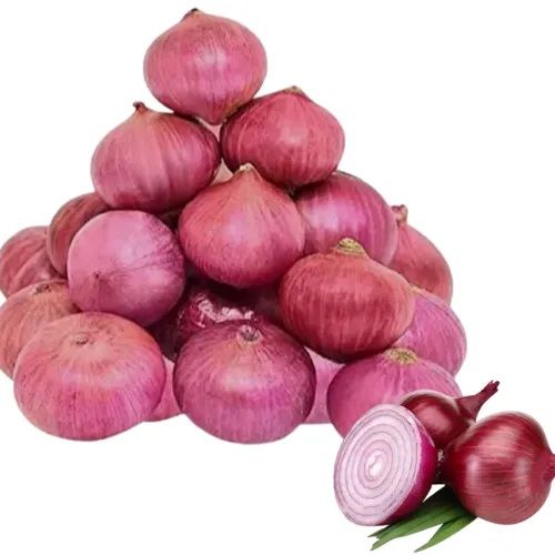 Onion
