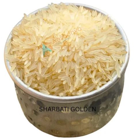 Sharbati Golden Rice