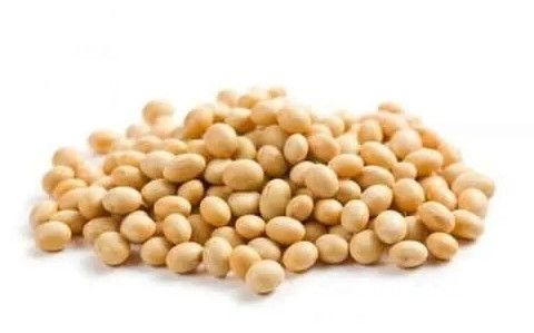 soyabean