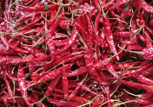 A Grade Dry Red Chilli, Certification : FSSAI Certified