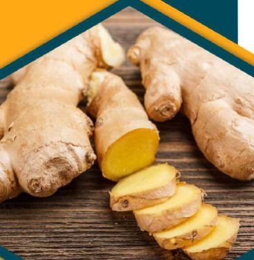 A Grade Fresh Ginger, Color : Brown, Certification : FSSAI Certified