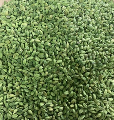 green cardamom