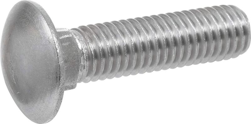 Carriage Bolts