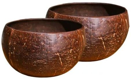 Coconut Shell Bowls