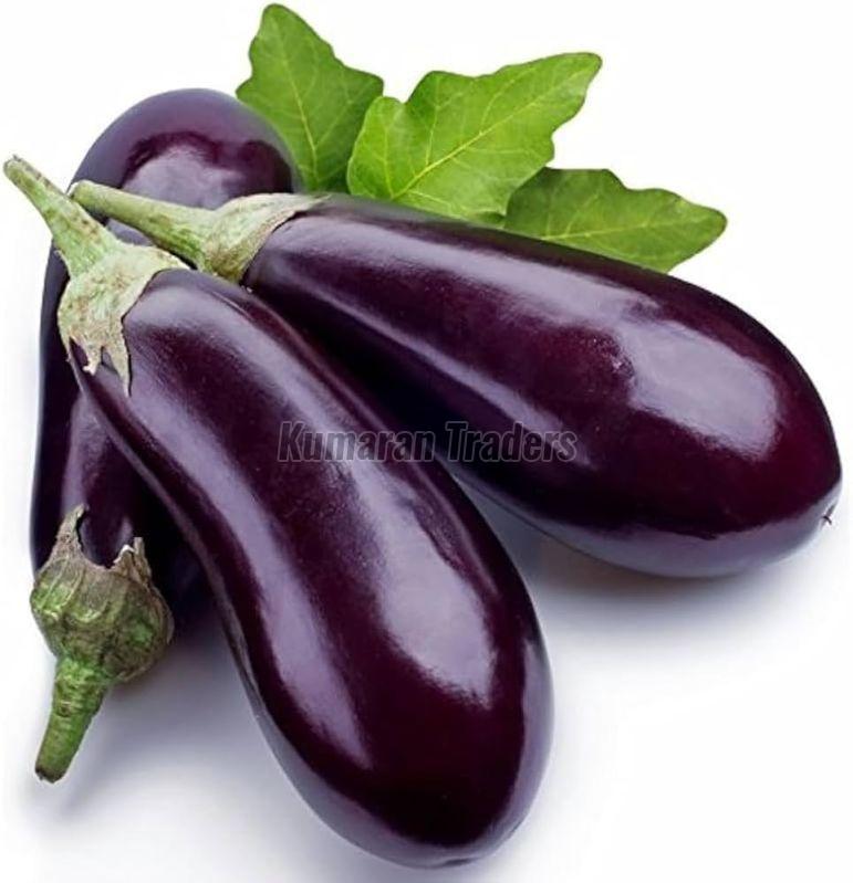 Organic Purple Brinjal