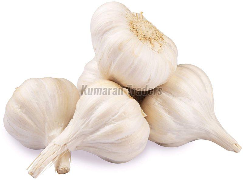 Organic White Garlic