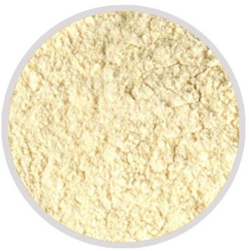 dehydrated garlic powder