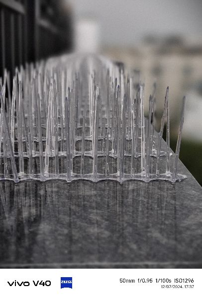 Stainless Steel Bird Spikes Installation Services