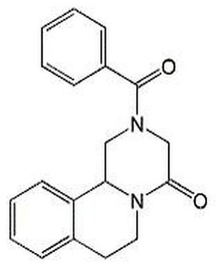 Praziquantel Impurity B Powder