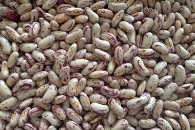 Light Speckled Kidney Beans