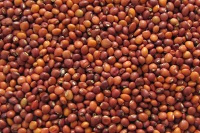 Red Pigeon Peas