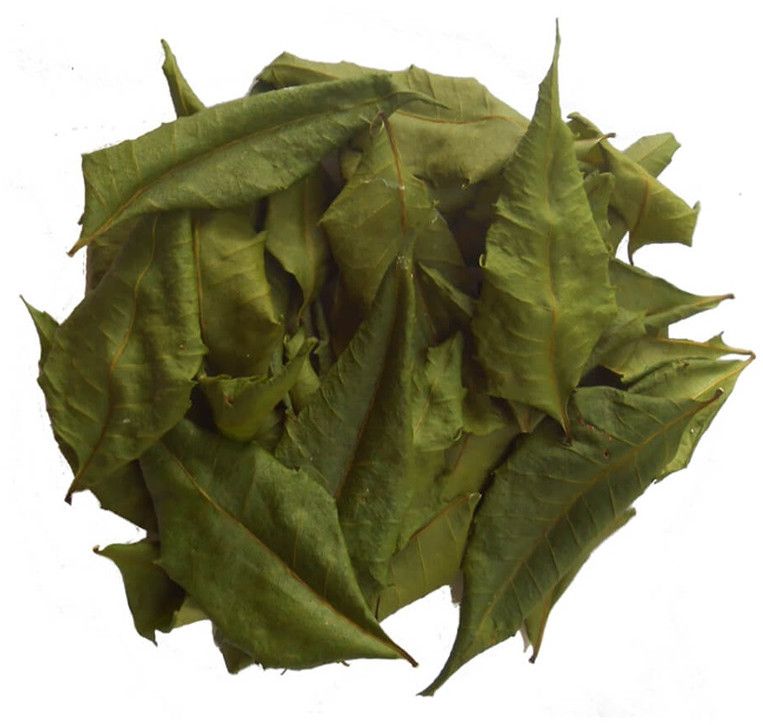 Dried Neem Leaves