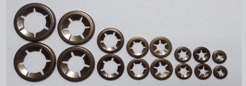 Internal Star Washers