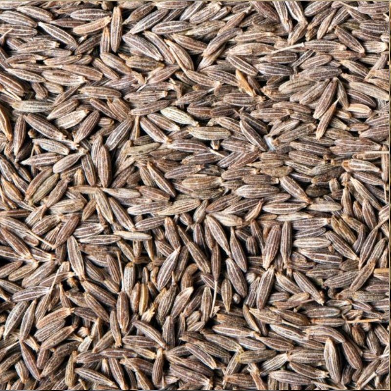 cumin seeds