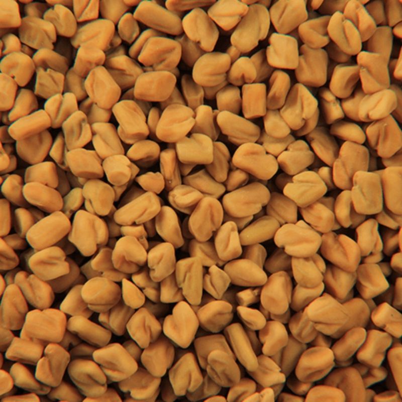 Fenugreek Seed