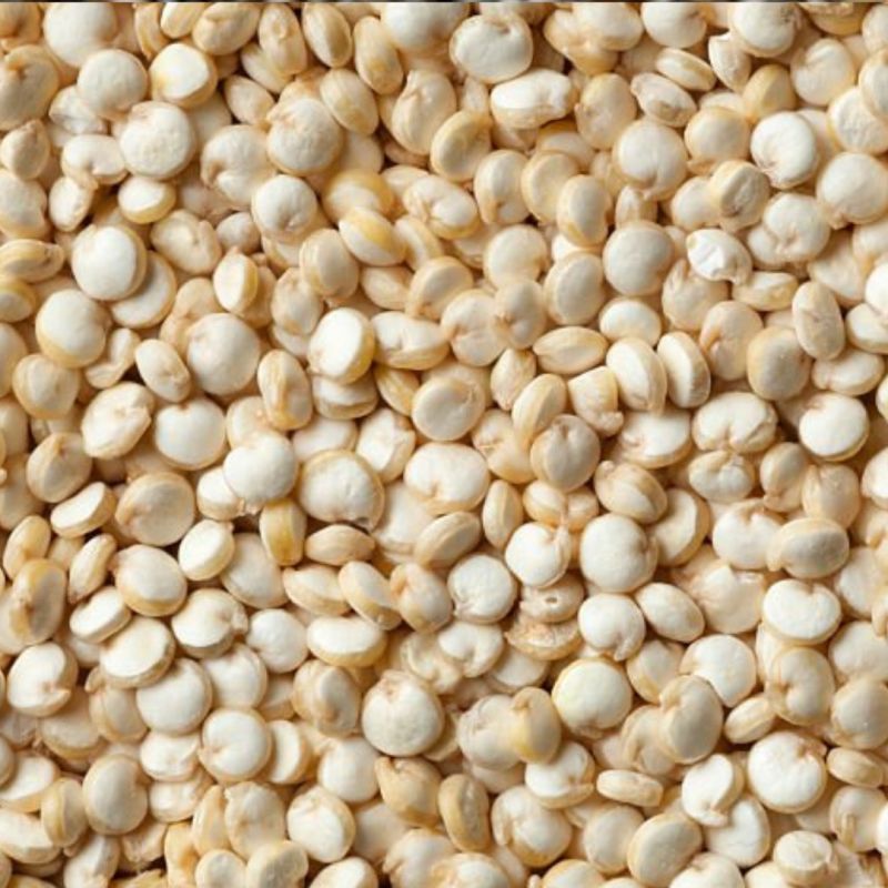 Quinoa Seeds