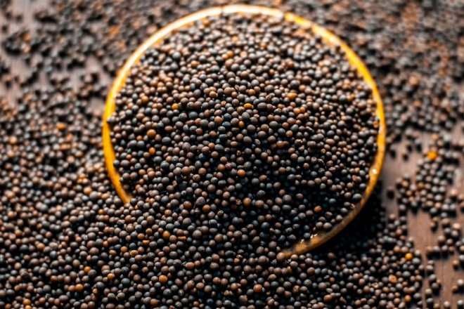 mustard seeds