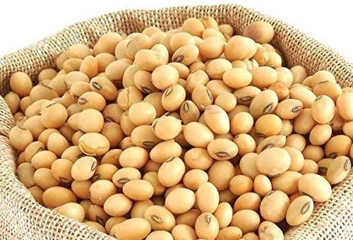 Soya Bean, Color : Yellow, Packaging Type : Varies