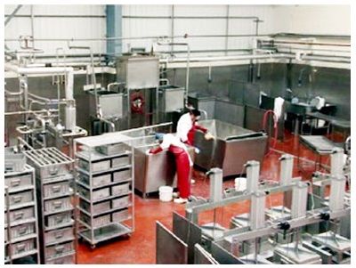 Paneer & Cheese Processing Systems, Color : Silver