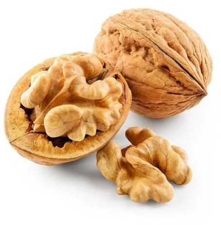 walnut