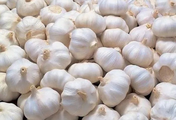 fresh garlic
