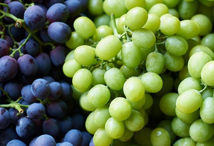 fresh grapes
