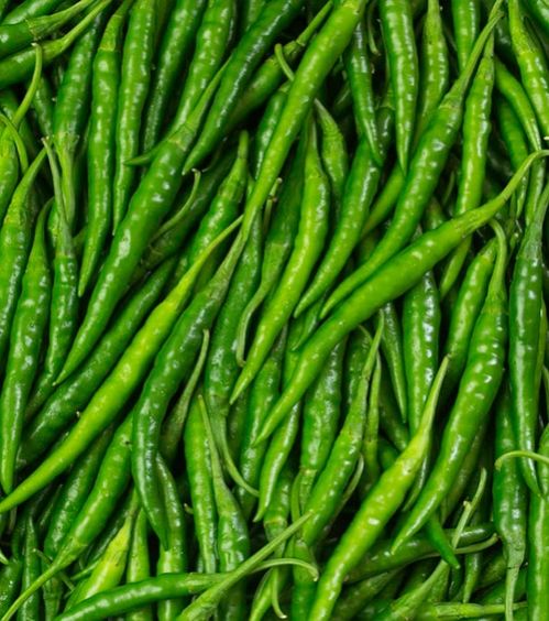 fresh green chilli