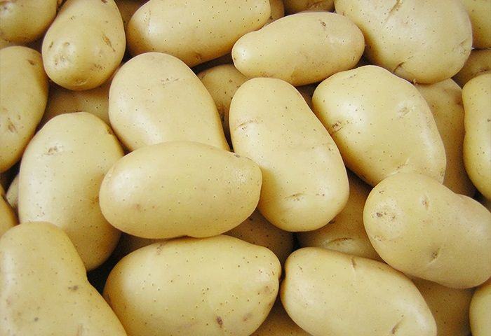 fresh potato