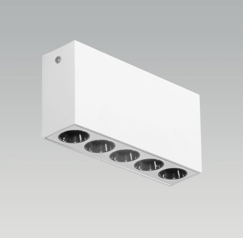 Bravo White LED Ceiling Light