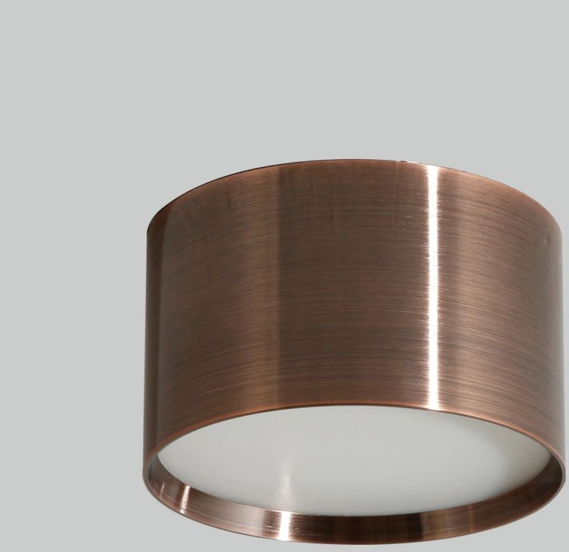 Bright Beauty Copper LED Ceiling Light